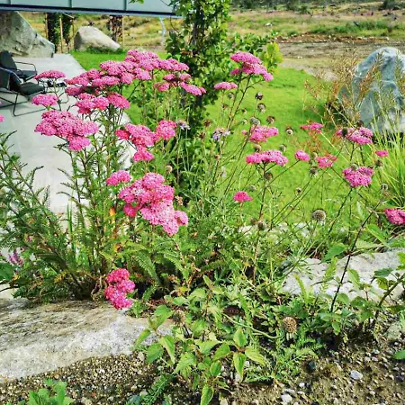 Daire Zore Jasna Demänovská Dolina