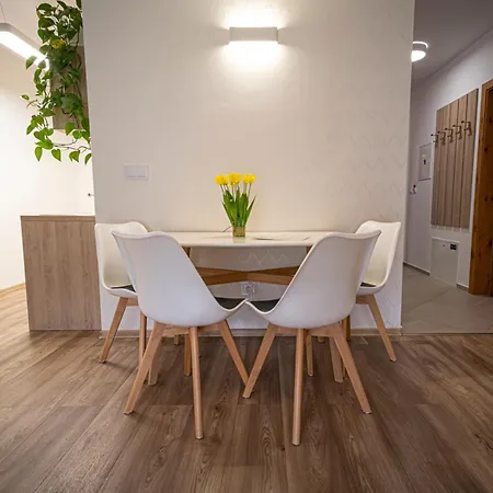 Apartament Zore Jasna *