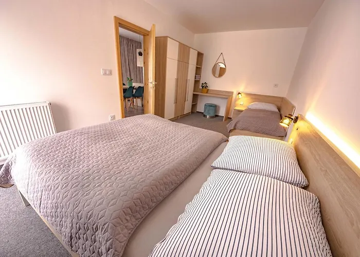 Zore Jasna Apartment *